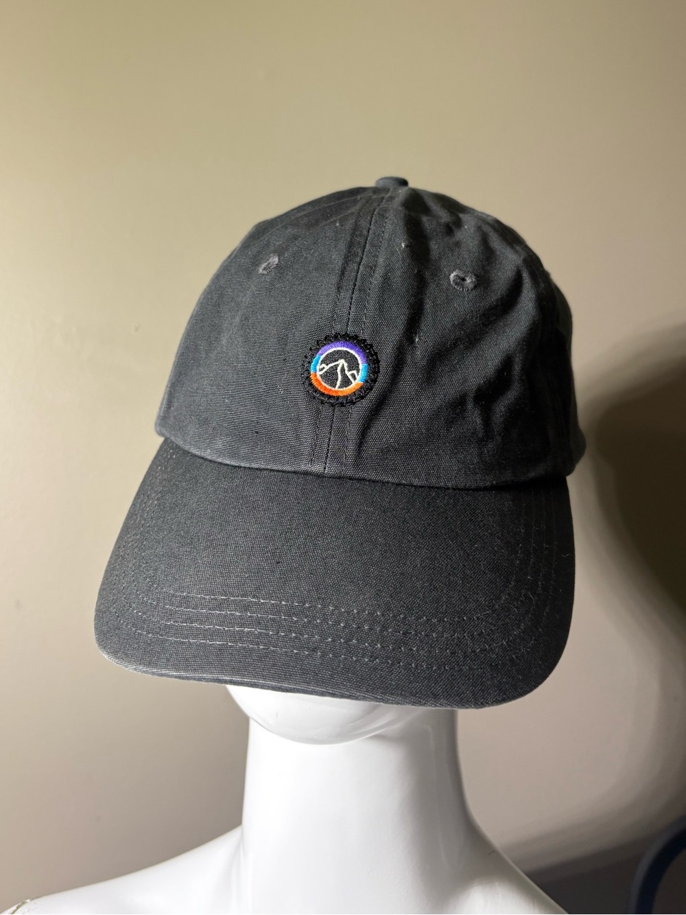 Patagonia Fitz Roy Icon Trad Cap